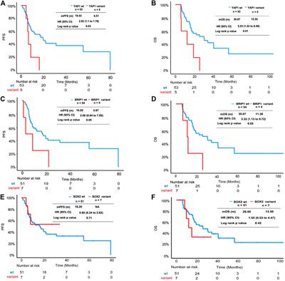 Pathway-Based Analysis Revealed the Role of Keap1-Nrf2 Pathway and PI3K-Akt Pathway in Chinese Esophageal Squamous Cell Carcinoma Patients With Definitive Chemoradiotherapy